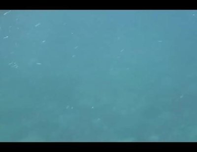 Trailer oficial de 'Fin de siglo'