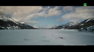 Trailer oficial de 'La llamada de lo salvaje'